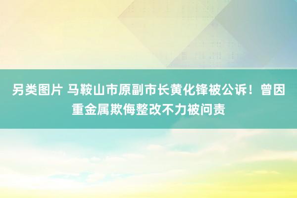 另类图片 马鞍山市原副市长黄化锋被公诉！曾因重金属欺侮整改不力被问责