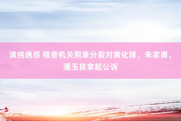 清纯诱惑 稽查机关照章分裂对黄化锋、朱家甫、潘玉良拿起公诉