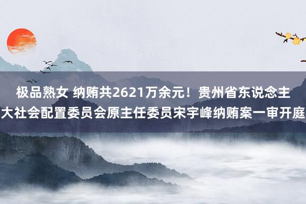 极品熟女 纳贿共2621万余元！贵州省东说念主大社会配置委员会原主任委员宋宇峰纳贿案一审开庭