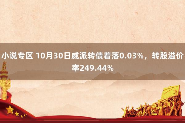 小说专区 10月30日威派转债着落0.03%，转股溢价率249.44%