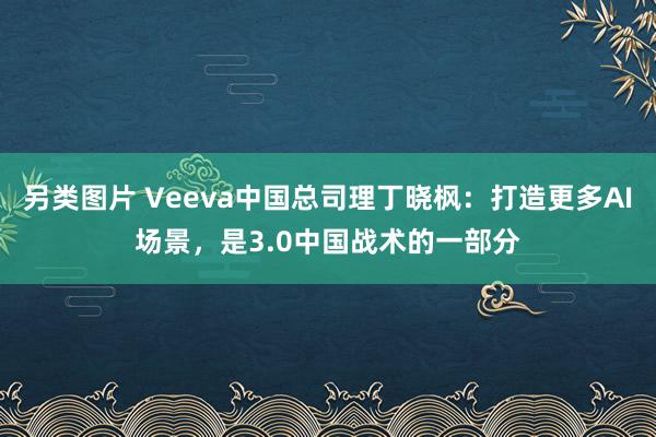 另类图片 Veeva中国总司理丁晓枫：打造更多AI场景，是3.0中国战术的一部分