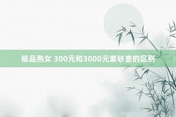 极品熟女 300元和3000元紫砂壶的区别