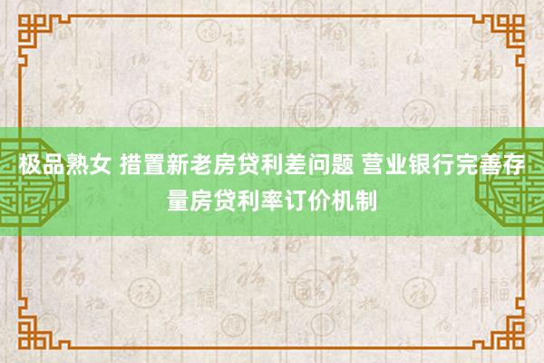 极品熟女 措置新老房贷利差问题 营业银行完善存量房贷利率订价机制