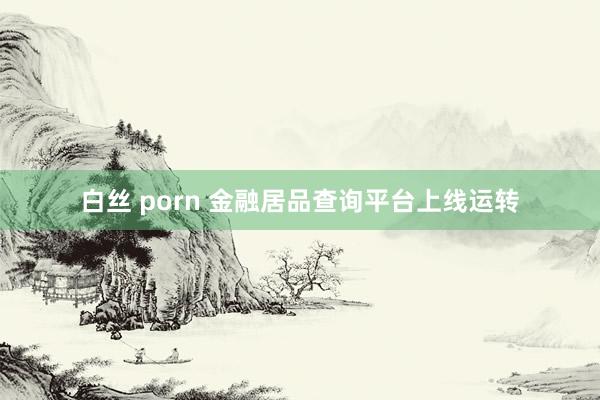 白丝 porn 金融居品查询平台上线运转