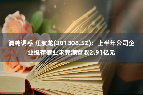 清纯诱惑 江波龙(301308.SZ)：上半年公司企业级存储业求完满营收2.91亿元