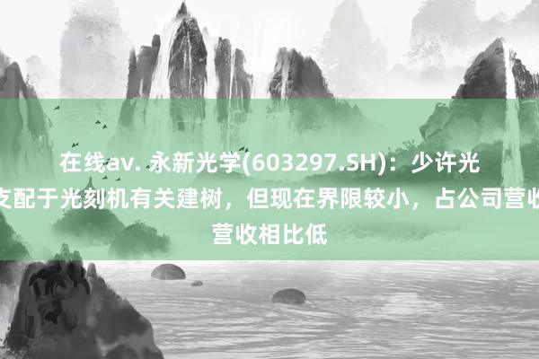 在线av. 永新光学(603297.SH)：少许光学居品支配于光刻机有关建树，但现在界限较小，占公司营收相比低