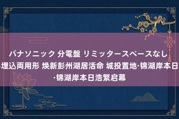 パナソニック 分電盤 リミッタースペースなし 露出・半埋込両用形 焕新彭州湖居活命 城投置地·锦湖岸本日浩繁启幕