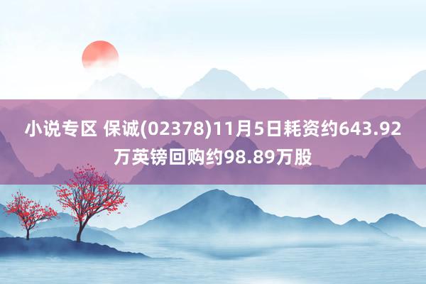 小说专区 保诚(02378)11月5日耗资约643.92万英镑回购约98.89万股