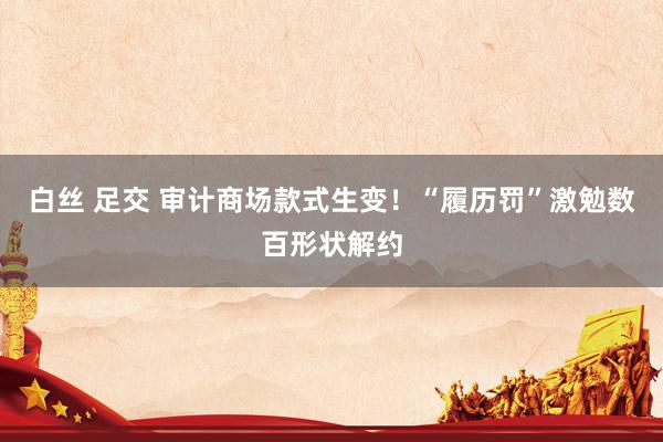 白丝 足交 审计商场款式生变！“履历罚”激勉数百形状解约