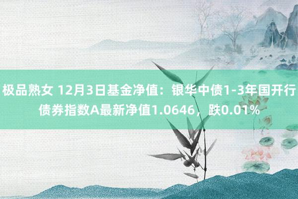 极品熟女 12月3日基金净值：银华中债1-3年国开行债券指数A最新净值1.0646，跌0.01%