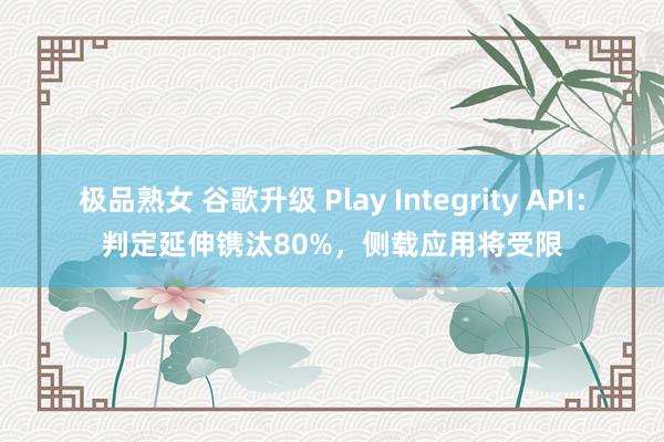 极品熟女 谷歌升级 Play Integrity API：判定延伸镌汰80%，侧载应用将受限