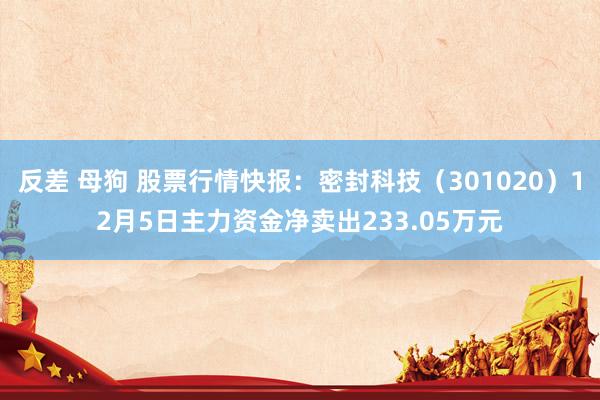 反差 母狗 股票行情快报：密封科技（301020）12月5日主力资金净卖出233.05万元