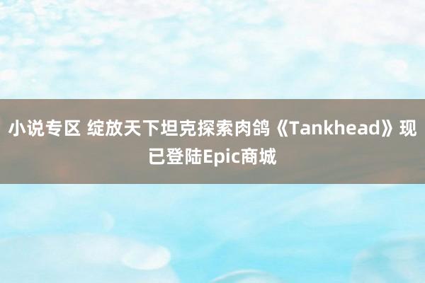 小说专区 绽放天下坦克探索肉鸽《Tankhead》现已登陆Epic商城