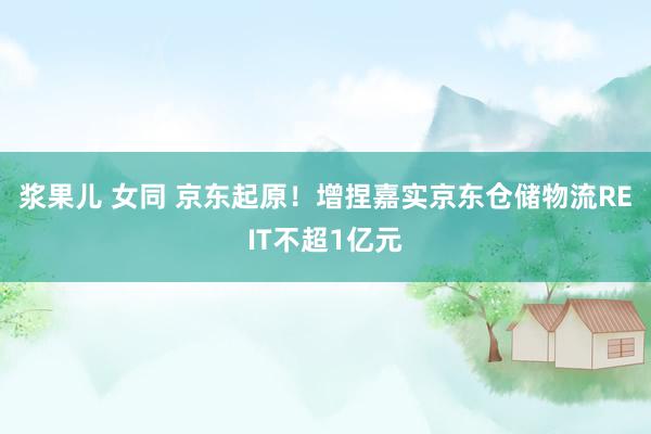 浆果儿 女同 京东起原！增捏嘉实京东仓储物流REIT不超1亿元