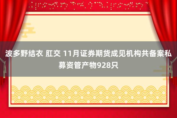 波多野结衣 肛交 11月证券期货成见机构共备案私募资管产物928只