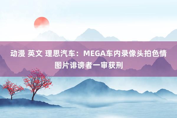 动漫 英文 理思汽车：MEGA车内录像头拍色情图片诽谤者一审获刑