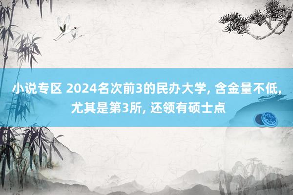 小说专区 2024名次前3的民办大学， 含金量不低， 尤其是第3所， 还领有硕士点