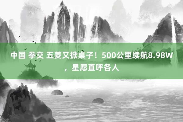 中国 拳交 五菱又掀桌子！500公里续航8.98W，星愿直呼各人