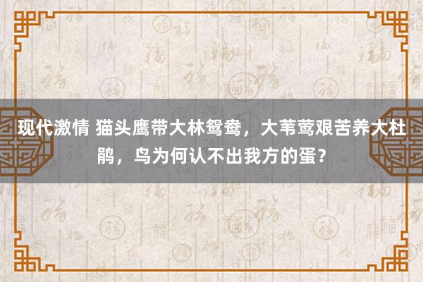 现代激情 猫头鹰带大林鸳鸯，大苇莺艰苦养大杜鹃，鸟为何认不出我方的蛋？