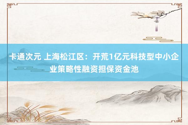 卡通次元 上海松江区：开荒1亿元科技型中小企业策略性融资担保资金池