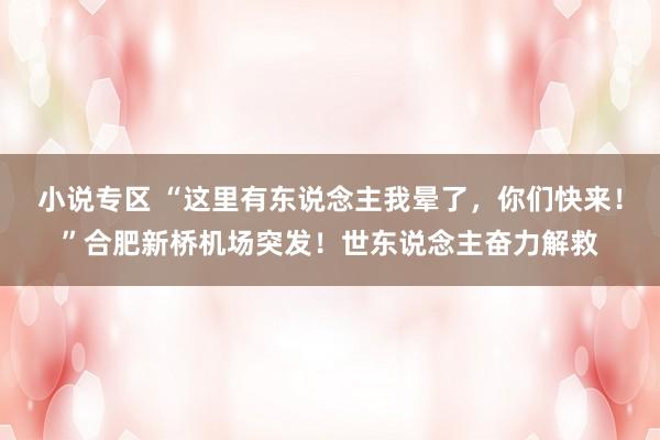 小说专区 “这里有东说念主我晕了，你们快来！”合肥新桥机场突发！世东说念主奋力解救