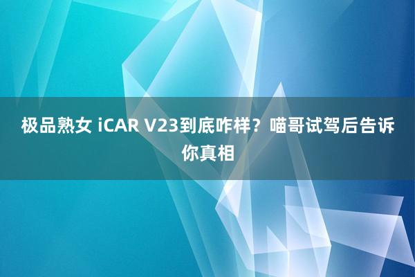 极品熟女 iCAR V23到底咋样？喵哥试驾后告诉你真相