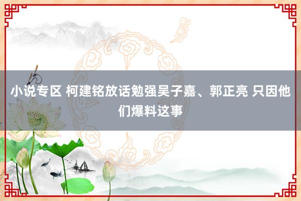 小说专区 柯建铭放话勉强吴子嘉、郭正亮 只因他们爆料这事