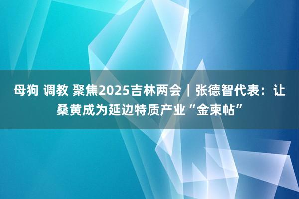 母狗 调教 聚焦2025吉林两会｜张德智代表：让桑黄成为延边特质产业“金柬帖”