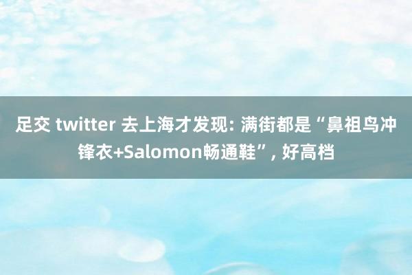 足交 twitter 去上海才发现: 满街都是“鼻祖鸟冲锋衣+Salomon畅通鞋”， 好高档