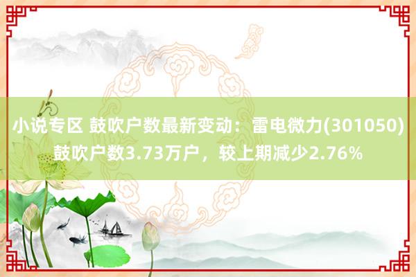 小说专区 鼓吹户数最新变动：雷电微力(301050)鼓吹户数3.73万户，较上期减少2.76%