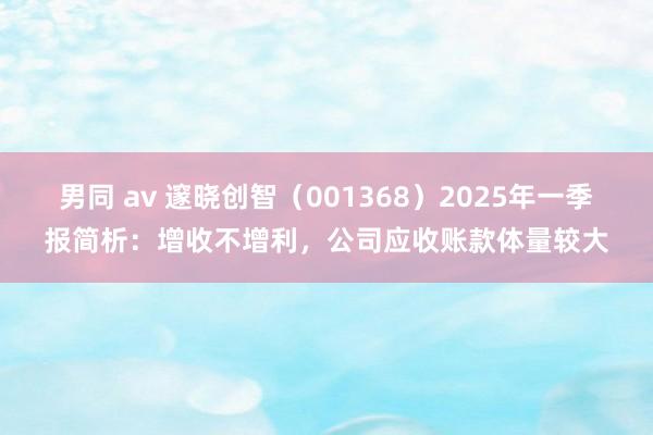 男同 av 邃晓创智（001368）2025年一季报简析：增收不增利，公司应收账款体量较大